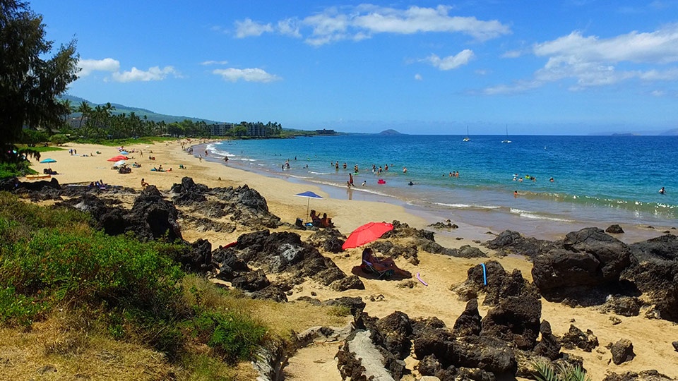 Best Maui Beach Charlie Young