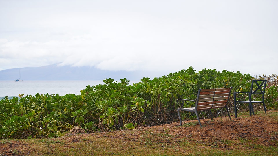 Best Maui Beach Olowalu