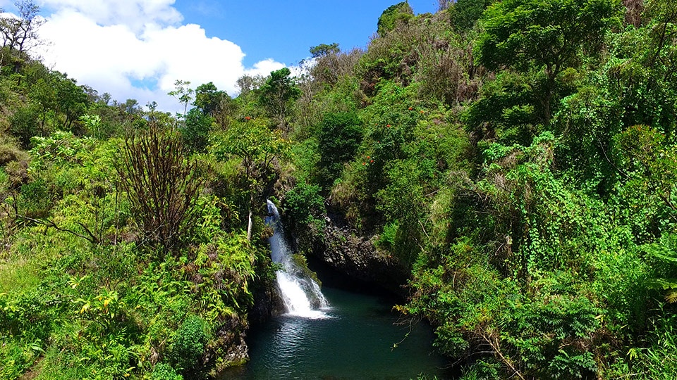 Hanawi Falls Best Road Hana