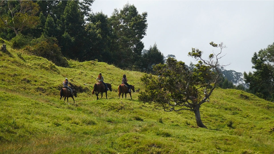 Best Hawaii Activities Horseback Riding