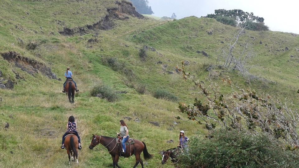 Best Maui Activities Horseback Riding