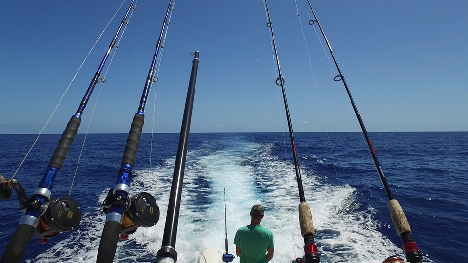 Best Maui Sport Fishing