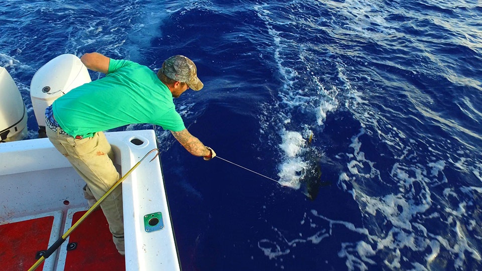 Best Maui Sport Fishing