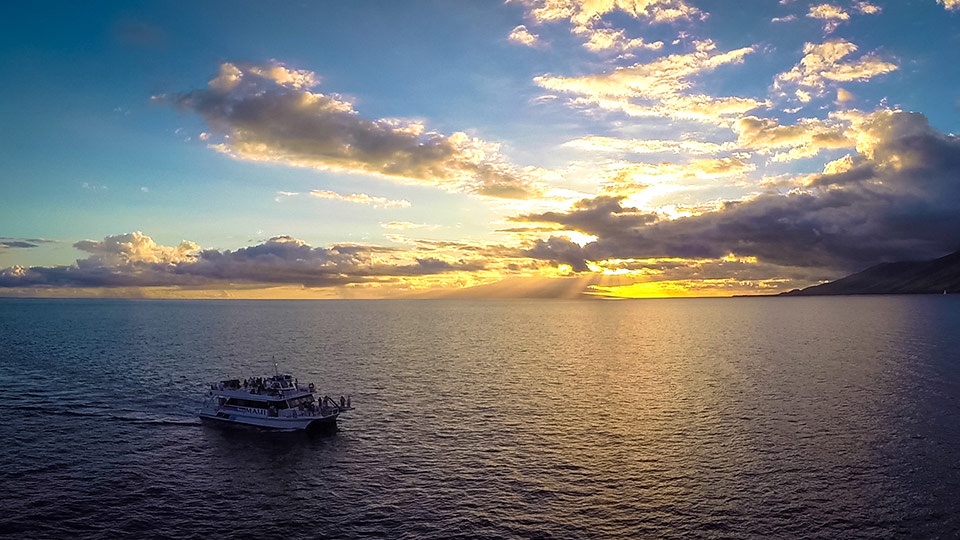 Best Maui Activities Sunset Dinner Cocktail Cruise