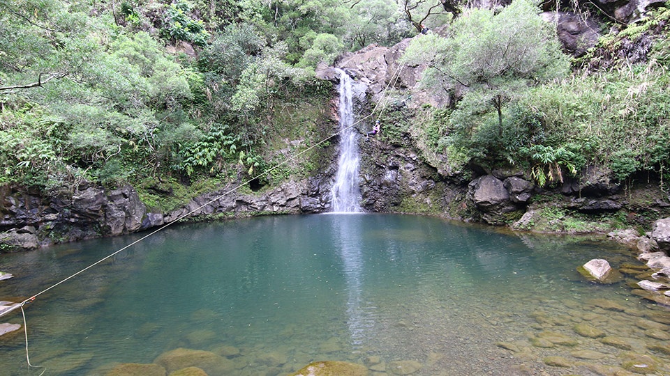 Best Maui Activities zipline