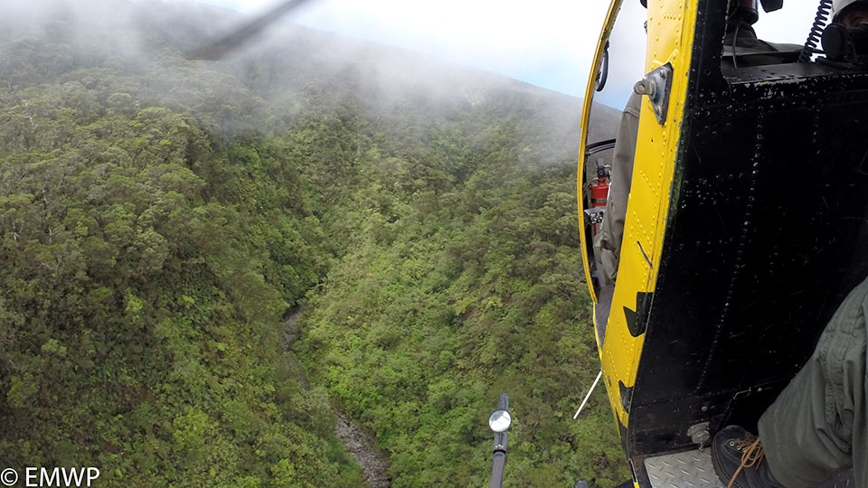 E. Maui Watershed Project non-profit