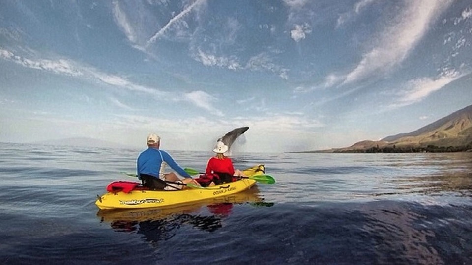 Best Maui Ocean Activities Kayaking