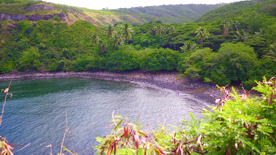 Best Maui Snorkel Honolua