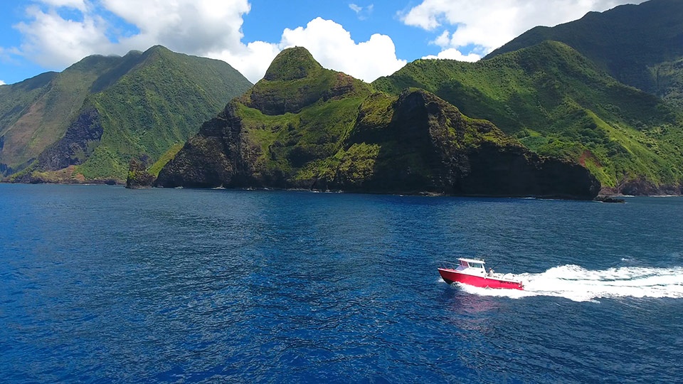 Best West Maui Sport fishing