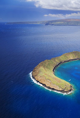 Best Maui Hawaii Molokini Snorkel Cruise