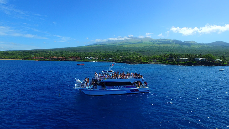 Snorkeling at Turtle Town