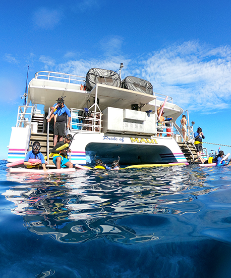 Maui Molokini Snorkel Adventure