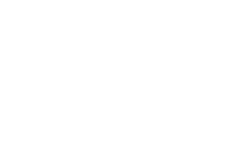 American flag icon