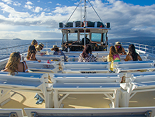 Best Maui Whale Watching Lookout View